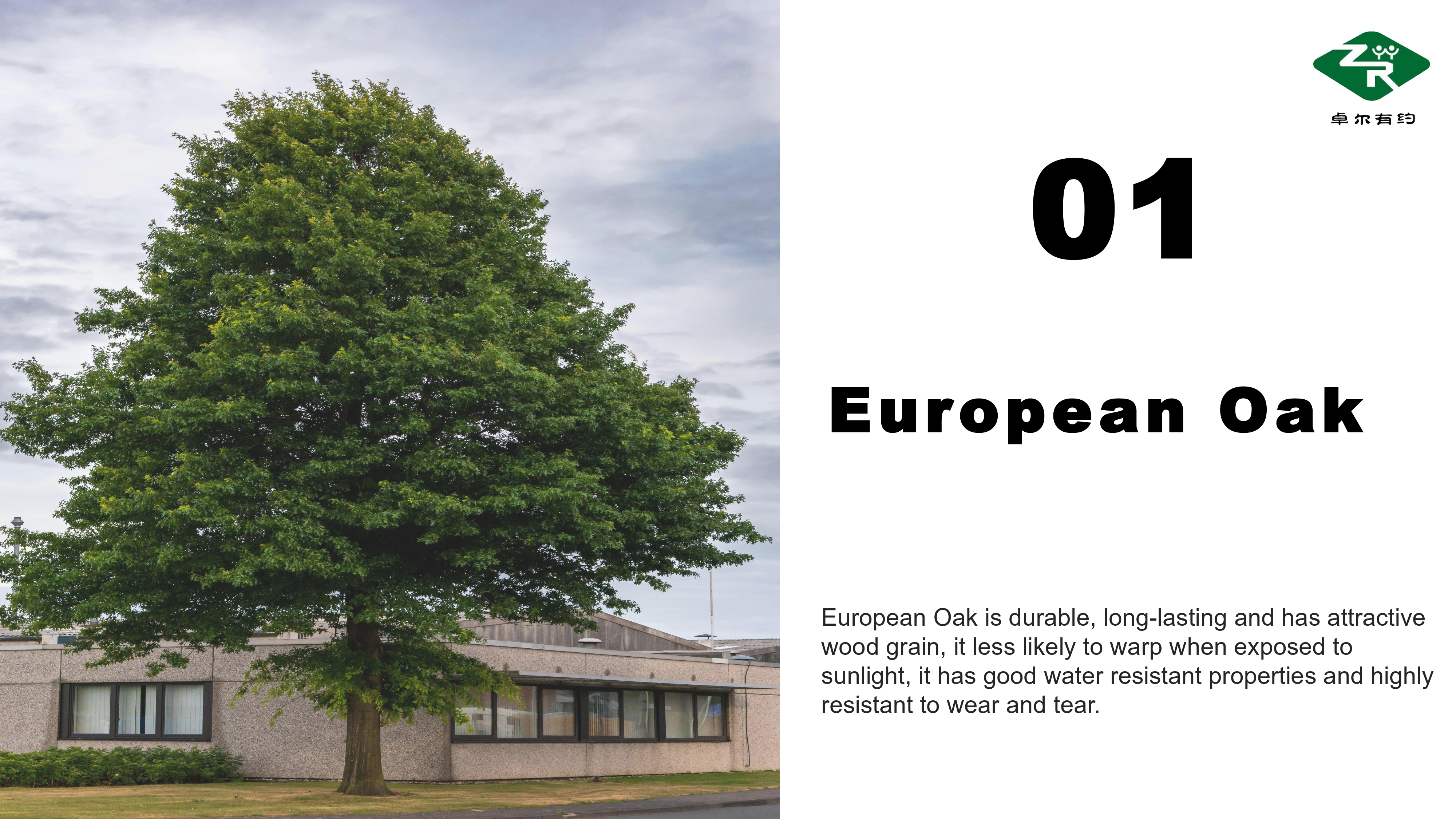 Art Parquet Flooring